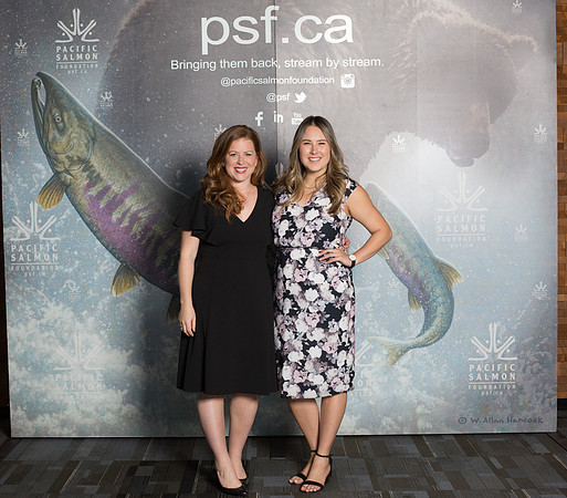 MEDIA WALL- PSF-49