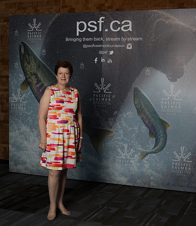 MEDIA WALL- PSF