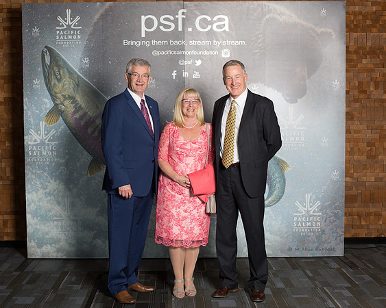 MEDIA WALL- PSF-63