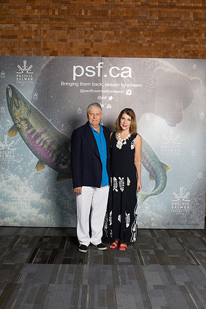MEDIA WALL- PSF-7