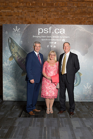 MEDIA WALL- PSF-64