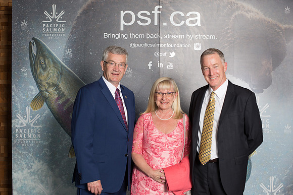 MEDIA WALL- PSF-65