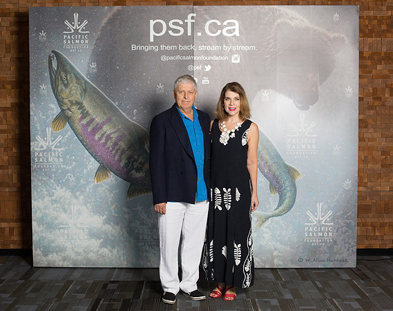 MEDIA WALL- PSF-6