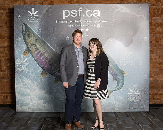 MEDIA WALL- PSF-13