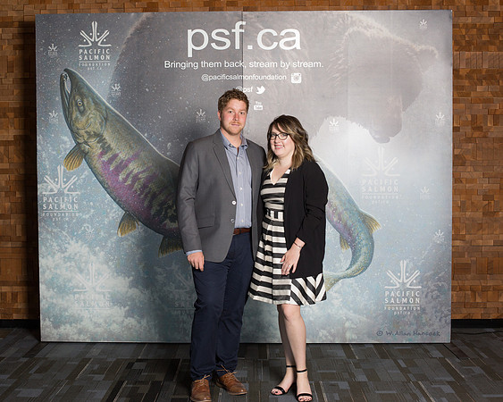 MEDIA WALL- PSF-12