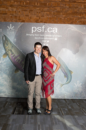 MEDIA WALL- PSF-102
