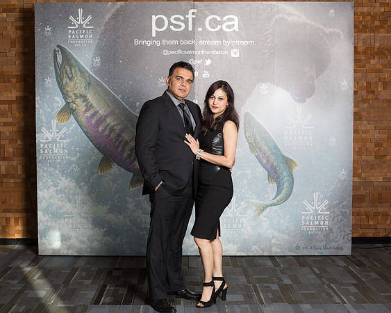 MEDIA WALL- PSF-116