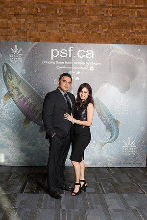 MEDIA WALL- PSF-115