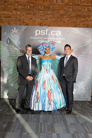 MEDIA WALL- PSF-128