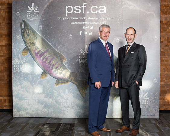 MEDIA WALL- PSF-134