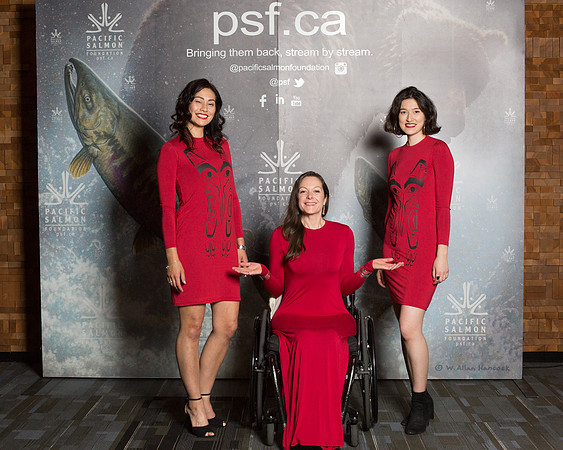 MEDIA WALL- PSF-176
