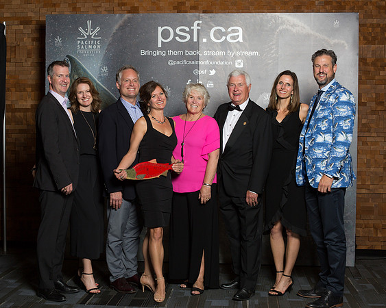 MEDIA WALL- PSF-185