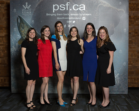 MEDIA WALL- PSF-186
