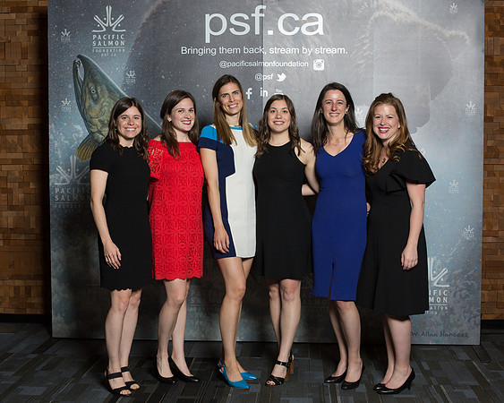 MEDIA WALL- PSF-187