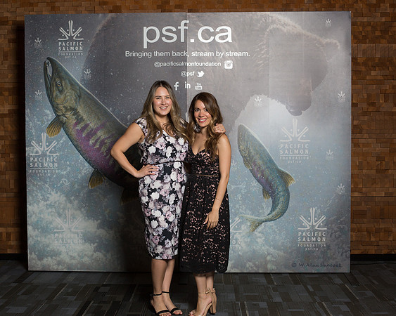 MEDIA WALL- PSF-191