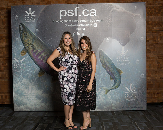 MEDIA WALL- PSF-192