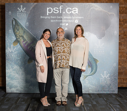 MEDIA WALL- PSF-33
