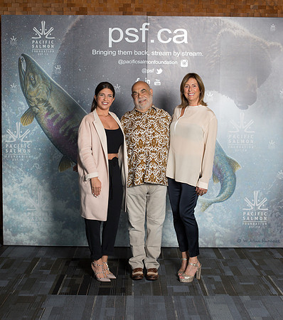 MEDIA WALL- PSF-34