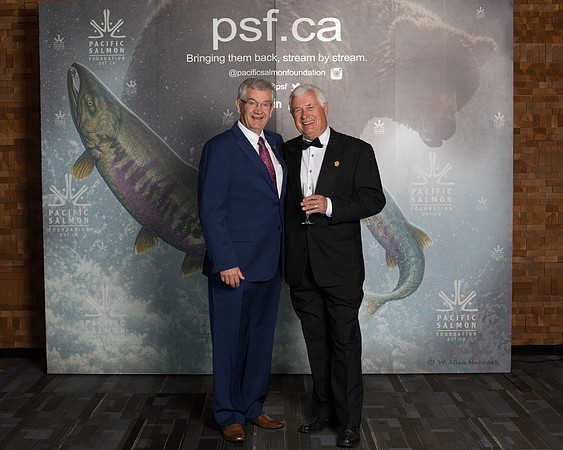 MEDIA WALL- PSF-68
