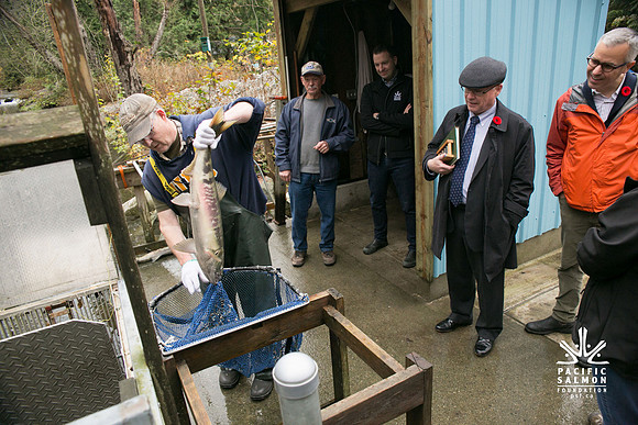 PSF - TYNEHEAD HATCHERY - MP Ken Hardie-116