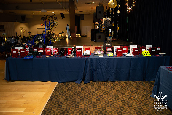 2- 2018-PSF-COMOX-169