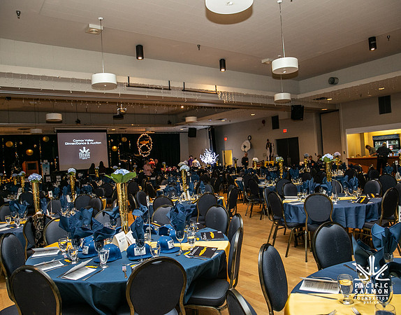 2- 2018-PSF-COMOX-136