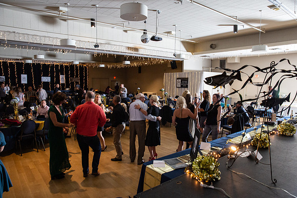 1B-EVENT- 2018-PSF-COMOX-86