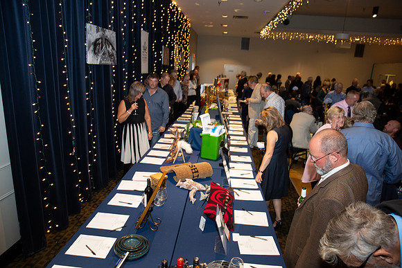 1C-EVENT- 2018-PSF-COMOX-14
