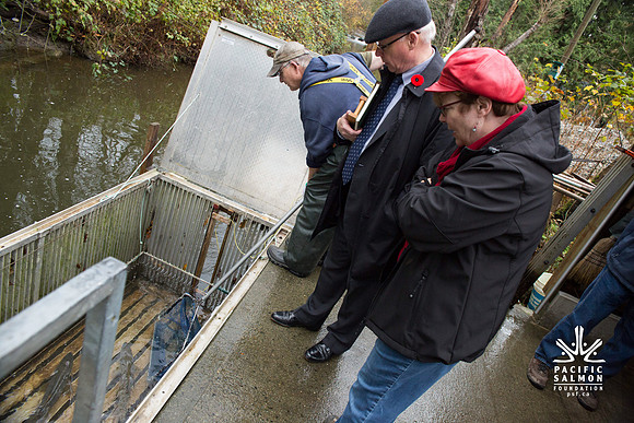 PSF - TYNEHEAD HATCHERY - MP Ken Hardie-109