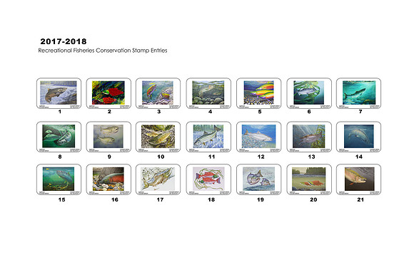 11x17 2017 - 2018 Stamp Size Entry Flat Sheet copy