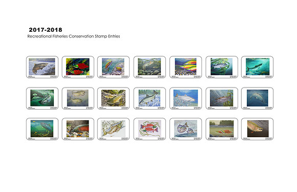 11x17 2017 - 2018 Stamp Size Entry Flat Sheet