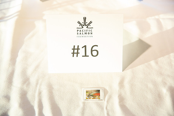 4 - PSF STAMP COMP 2018 --73