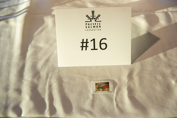 4 - PSF STAMP COMP 2018 --72