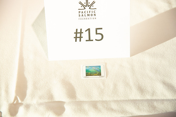 4 - PSF STAMP COMP 2018 --75
