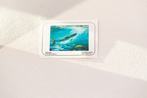 4 - PSF STAMP COMP 2018 --46