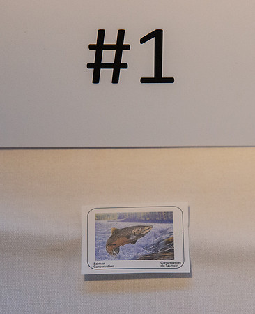 4 - PSF STAMP COMP 2018 --108