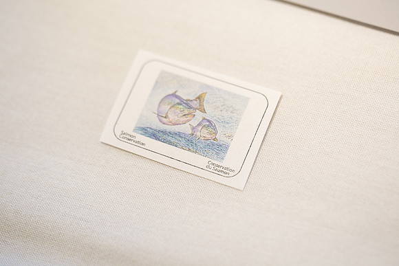4 - PSF STAMP COMP 2018 --50