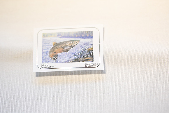4 - PSF STAMP COMP 2018 --40