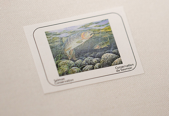2 - PSF STAMP COMP 2018 --43
