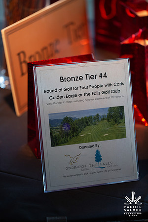 7-2019 PSF VANCOUVER GALA-512