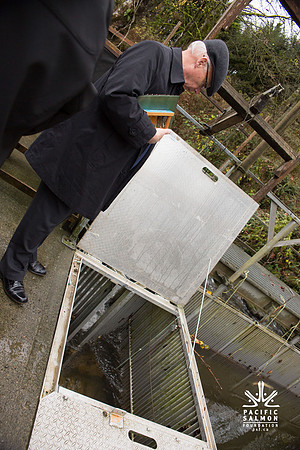 PSF - TYNEHEAD HATCHERY - MP Ken Hardie-103