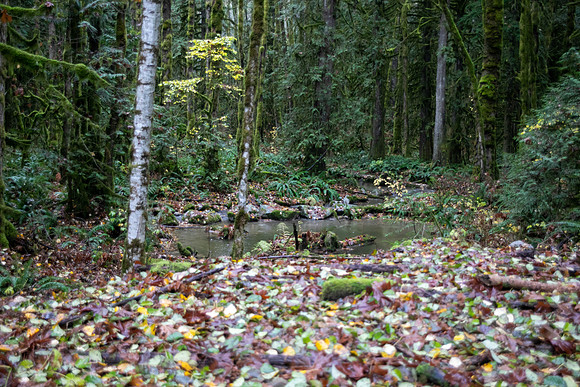 PSF VISIT-CHEAKAMUS CENTRE-96