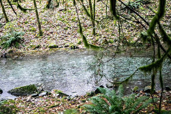PSF VISIT-CHEAKAMUS CENTRE-86