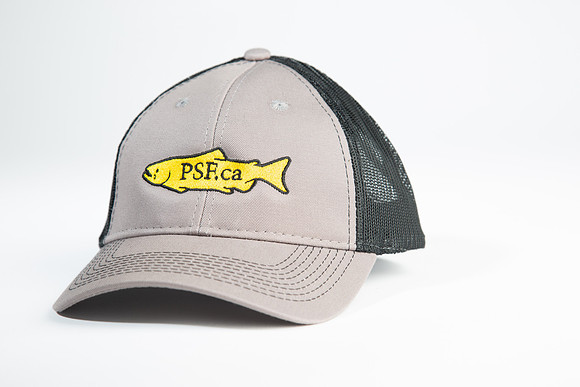 PSF-174