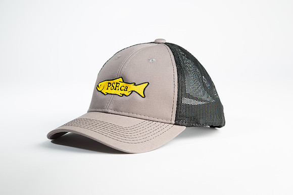 PSF-180