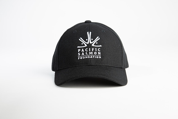 PSF-190