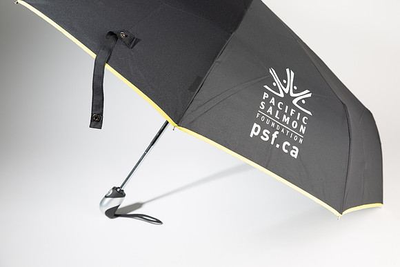 PSF-298