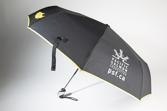 PSF-299