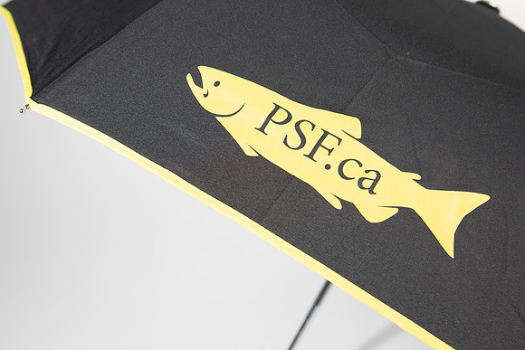 PSF-307