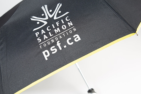 PSF-308